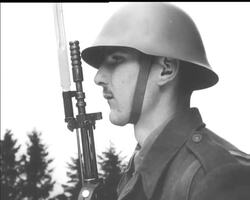 ROYAL VISIT News Clip