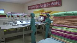 VOICED : North Korea reforming economy while denying change News Clip