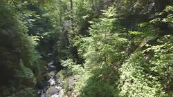 Forest river Stock Footage