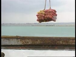 Albania - Ship of potatoes arrives in Durres News Clip