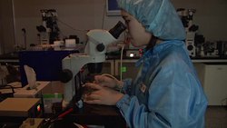 CLEAN : Fido forever S Koreas dog cloning clinic News Clip