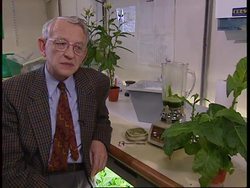 UK: PLANT BASED VACCINE COULD MEAN END TO TOOTH DECAY News Clip