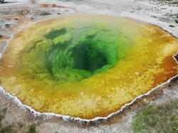 WS View of Morning glory pool yellowstone national park / Montana, United States Stock Footage