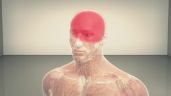 New nanoparticle detects harmful blood clots Instructional Video