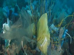 MS POV Plastic bags and electric cable in water / Mediteranean sea Stock Footage