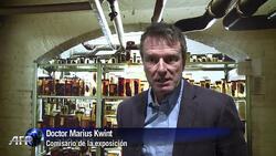 VOICED: Einstein y la historia del cerebro News Clip