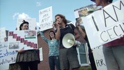 Protests outside dental surgery of Walter Palmer News Clip