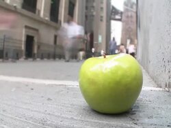 T/L The Big Apple Stock Footage