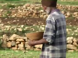 Man sowing seeds at plantation Stock Footage