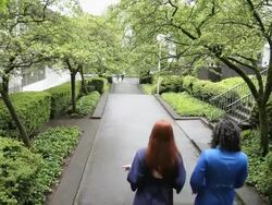 WS TD Two women walking on sidewalk through the urban park / Portland, Oregon, USA Stock Footage