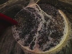 Grapes Harvesting in a Vineyard: grape must Stock Footage