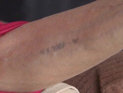 Auschwitz Tattoo Stock Footage