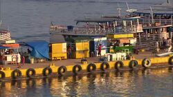 A montage shows a variety of life in Brazil including the arts, animals, architecture, vacation destinations, and lifestyles. Stock Footage