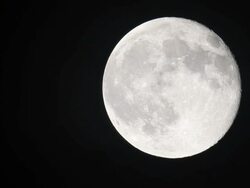 Large Full Moon with Slight Movement & Crater Detail Stock Footage