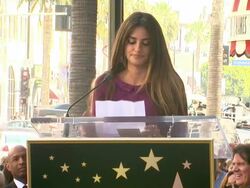 WireImage Daily: 4/4/11 Stock Footage