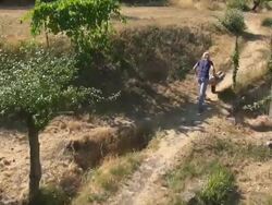 MS AERIAL TU View of woman transporting wood with wheelbarrow / Siena, Tuscany, Italy Stock Footage