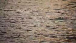 Waves, Real Time Stock Footage