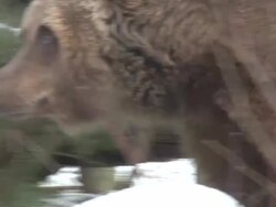 ATMOSPHERE: General Views: 62nd Berlinale International Film Festival on February 8, 2012 in Berlin, Germany. (Footage by WireImage Video/Getty Images) Stock Footage