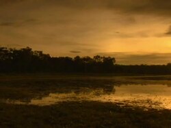 Wetlands at dawn or dusk Stock Footage