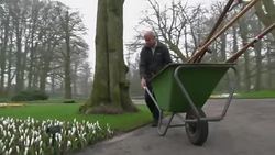 Vincent Van Gogh is celebrated in flowers News Clip