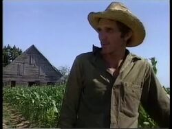 CUBA: BUMPER CROP OF HIGH QUALITY TOBACCO  (V) News Clip