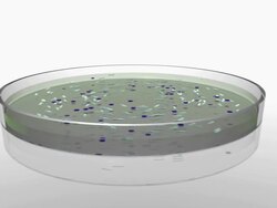 Petri Dish (SD) Stock Footage