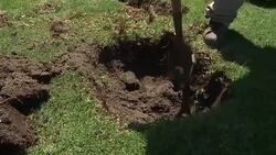 20150810FSN-construction-landscaping.mov Stock Footage