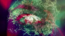 Digital Eye Stock Footage