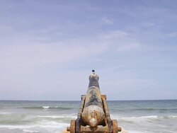 WS TD View of crow perches on an old canon pointed out to sea on Galle Face Green esplanade / Colombo, Western Province, Sri Lanka Stock Footage