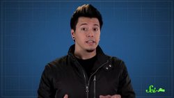 How Plants Attract Bodyguards Instructional Video