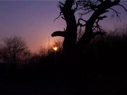 Sunset Stock Footage