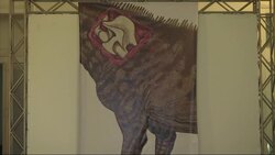 1950s bones are Brazil's largest dinosaur Instructional Video