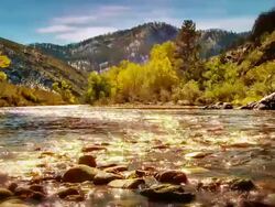 Sun light in river Stock Footage