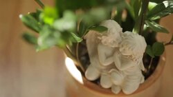 Flovers in vase - Stock footage Stock Footage