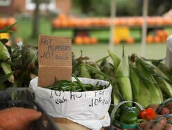 Roadside Vegetable Stand Stock Footage