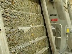 Waste Water Treatment Plant Screening Conveyor Stock Footage