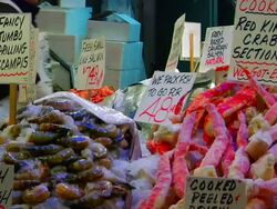 Seafood Stand 2 Stock Footage