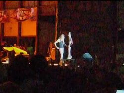 Aerosmith lead singer Steven Tyler has a broken shoulder and stitches in his head after falling from the stage during a South Dakota concert, guitarist Joe Perry said Friday News Clip