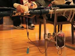 Blood donation Stock Footage