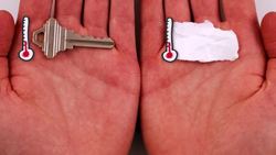 Can Humans Really Feel Temperature Instructional Video