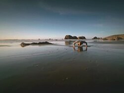 WS POV ZI Boy doing pushups on beach / Bandon, Oregon, United States Stock Footage