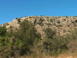 MS PAN Shot of Mount carmel landscape with mediterranean forest / Carmel, Coast Israel, Color Stock Footage