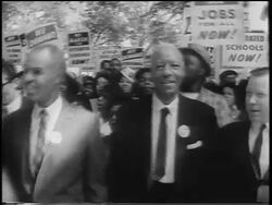 March On Washington Stock Footage