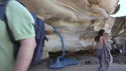 CLEAN : Giant sculptures adorn iconic Australian beach in annual event News Clip