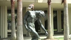 Trained Hawks Scare Away Pest Birds in LA Instructional Video