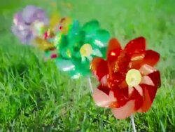 Pinwheels in grass Stock Footage