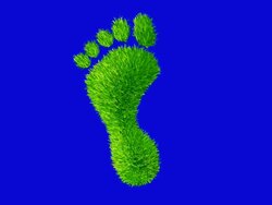 Ecological footprint made with  grass grows and sways. Stock Footage