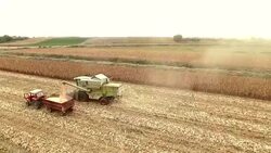 Harvester Work on Cornfield Stock Footage
