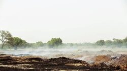 Compost Fermentation Stock Footage