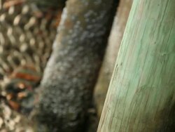 Bulkhead at Low Tide Stock Footage